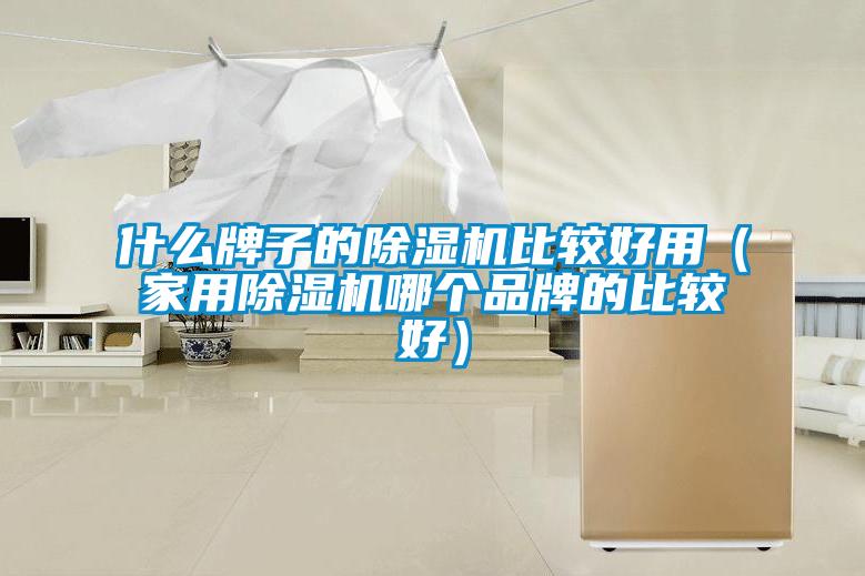 什么牌子的除濕機(jī)比較好用（家用除濕機(jī)哪個品牌的比較好）
