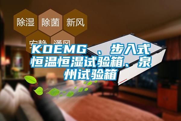 KOEMG 、步入式恒溫恒濕試驗箱、泉州試驗箱