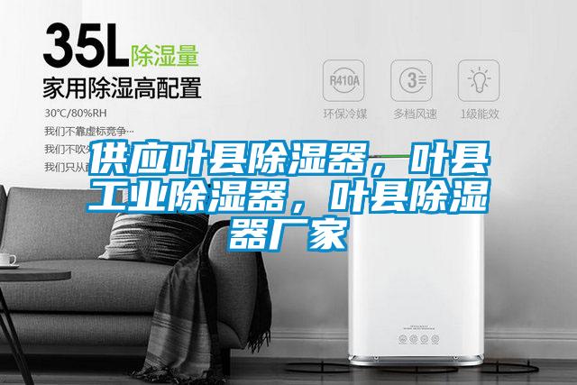 供應葉縣除濕器，葉縣工業(yè)除濕器，葉縣除濕器廠家
