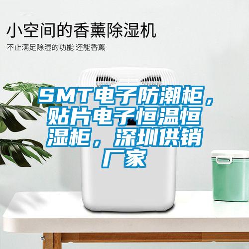 SMT電子防潮柜,貼片電子恒溫恒濕柜,深圳供銷廠家