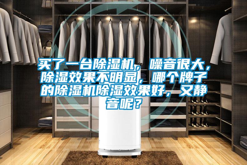 買了一臺除濕機，噪音很大，除濕效果不明顯，哪個牌子的除濕機除濕效果好，又靜音呢？