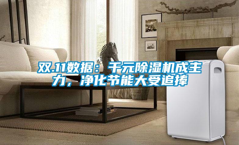 雙.11數(shù)據(jù)：千元除濕機成主力，凈化節(jié)能大受追捧