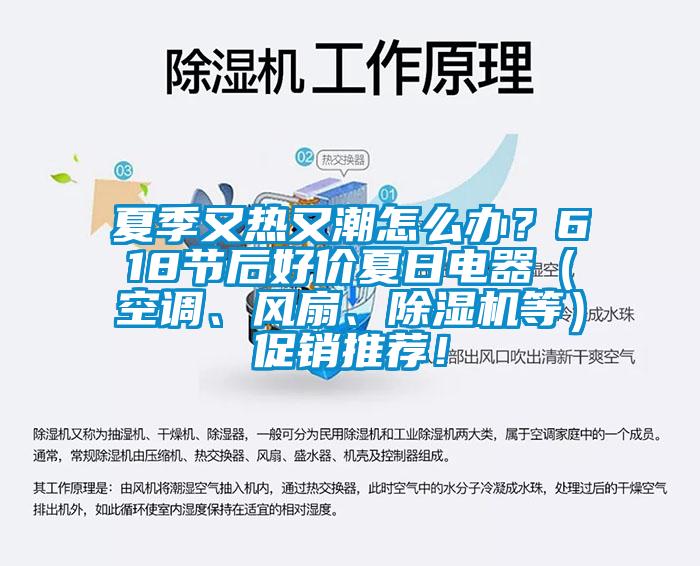 夏季又熱又潮怎么辦？618節后好價夏日電器（空調、風扇、除濕機等）促銷推薦！