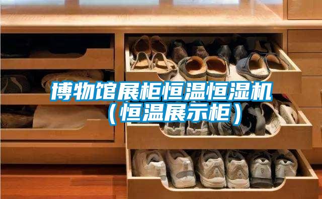 博物館展柜恒溫恒濕機(jī)(恒溫展示柜)