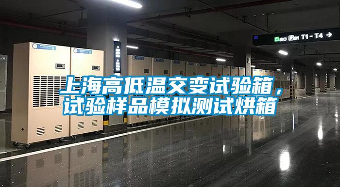 上海高低溫交變試驗箱，試驗樣品模擬測試烘箱
