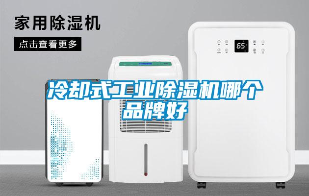 冷卻式工業除濕機哪個品牌好