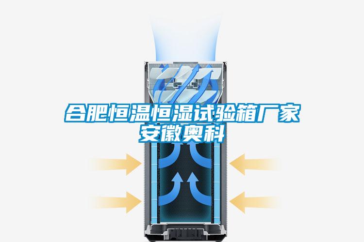 合肥恒溫恒濕試驗(yàn)箱廠家安徽奧科