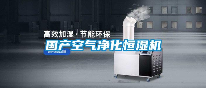 國產空氣凈化恒濕機
