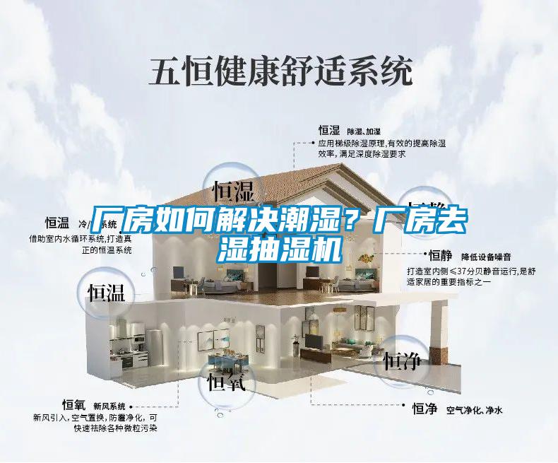 廠房如何解決潮濕？廠房去濕抽濕機(jī)