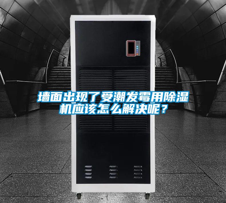 墻面出現了受潮發霉用除濕機應該怎么解決呢？