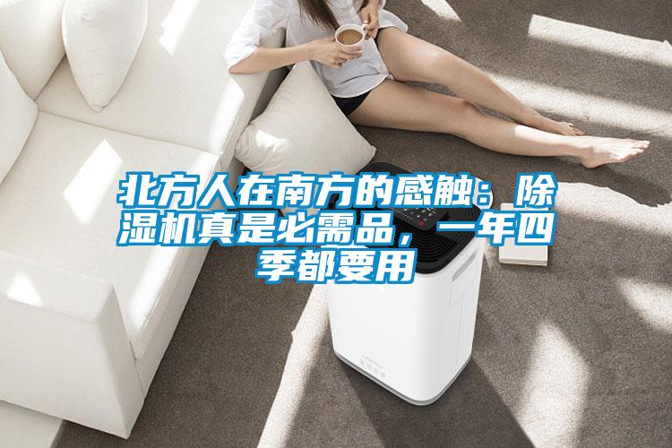北方人在南方的感觸：除濕機真是必需品，一年四季都要用