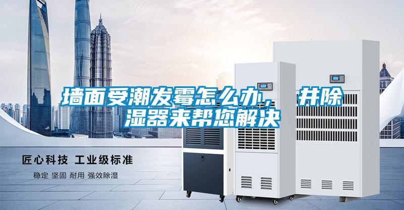 墻面受潮發霉怎么辦，東井除濕器來幫您解決