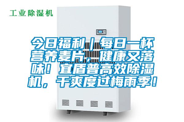 今日福利｜每日一杯營養(yǎng)麥片，健康又落味！宜盾普高效除濕機，干爽度過梅雨季！