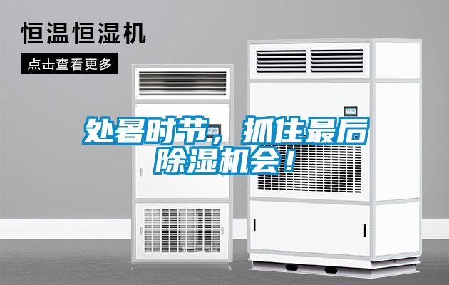 處暑時節，抓住最后除濕機會！