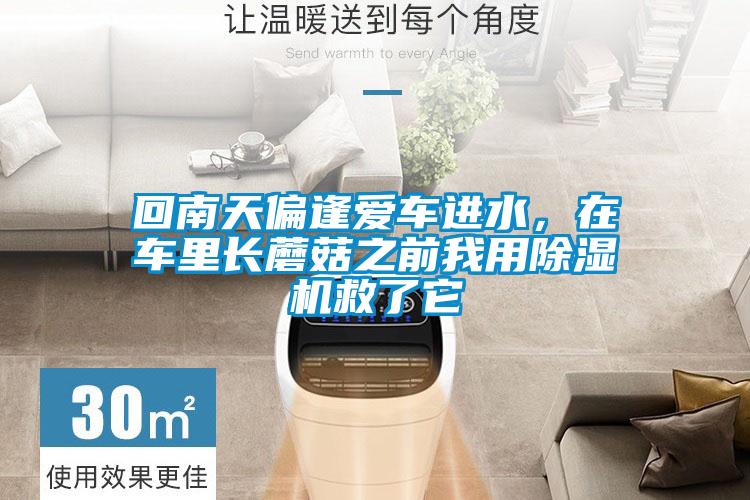 回南天偏逢愛車進(jìn)水，在車?yán)镩L(zhǎng)蘑菇之前我用除濕機(jī)救了它