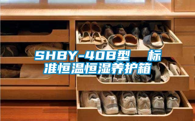 SHBY-40B型 標準恒溫恒濕養護箱