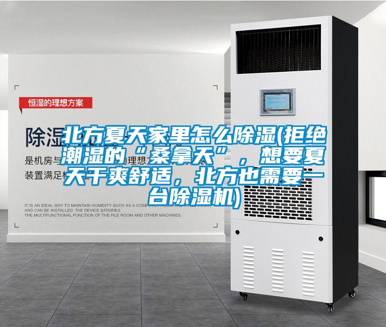 北方夏天家里怎么除濕(拒絕潮濕的“桑拿天”，想要夏天干爽舒適，北方也需要一臺除濕機)