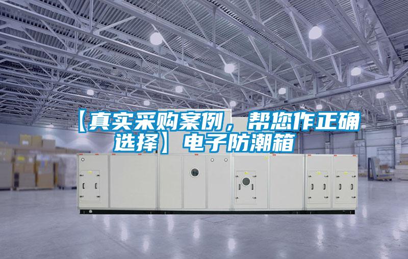 【真實(shí)采購案例，幫您作正確選擇】電子防潮箱