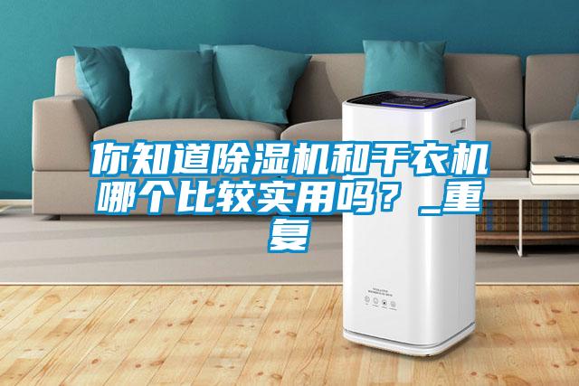 你知道除濕機(jī)和干衣機(jī)哪個(gè)比較實(shí)用嗎？_重復(fù)