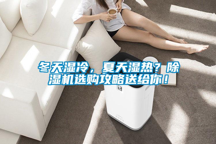 冬天濕冷，夏天濕熱？除濕機選購攻略送給你！