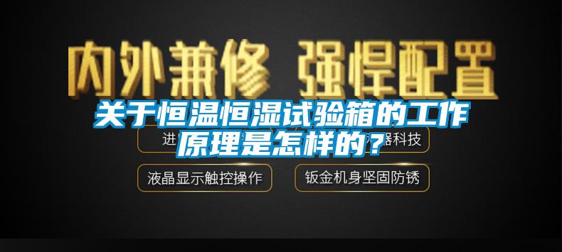 關于恒溫恒濕試驗箱的工作原理是怎樣的？