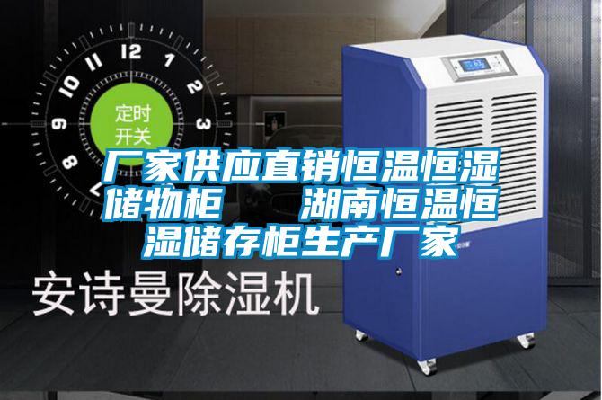 廠家供應(yīng)直銷恒溫恒濕儲物柜 湖南恒溫恒濕儲存柜生產(chǎn)廠家