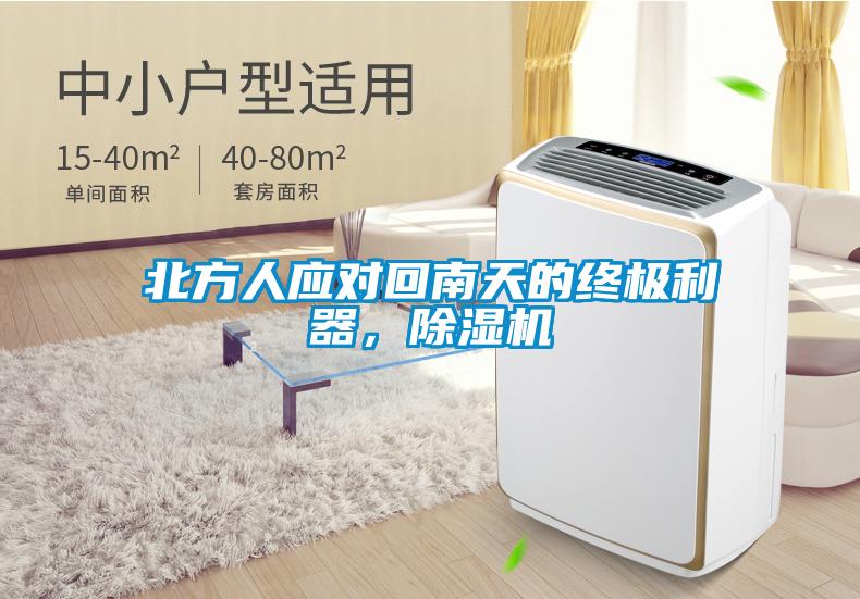 北方人應對回南天的終極利器，除濕機