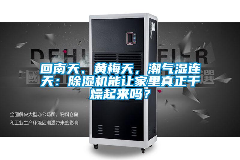 回南天、黃梅天，潮氣濕連天：除濕機能讓家里真正干燥起來嗎？