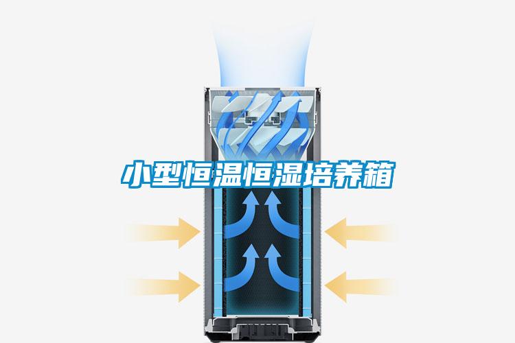 小型恒溫恒濕培養箱