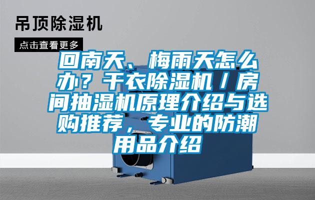 回南天、梅雨天怎么辦？干衣除濕機／房間抽濕機原理介紹與選購推薦，專業的防潮用品介紹