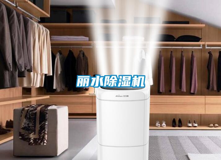 麗水除濕機