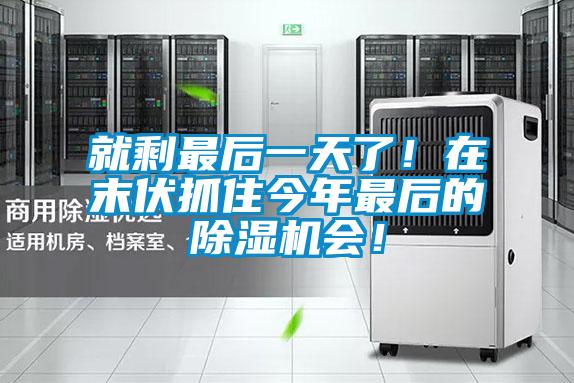 就剩最后一天了！在末伏抓住今年最后的除濕機會！