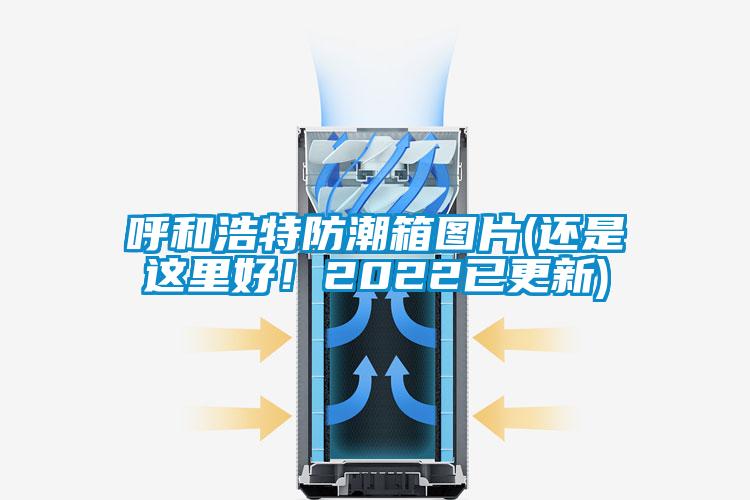 呼和浩特防潮箱圖片(還是這里好！2022已更新)