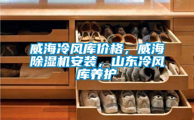 威海冷風庫價格，威海除濕機安裝，山東冷風庫養(yǎng)護