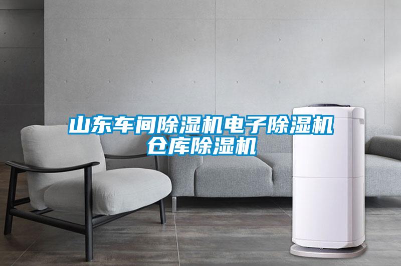 山東車間除濕機(jī)電子除濕機(jī)倉庫除濕機(jī)