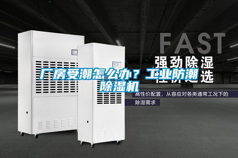 廠房受潮怎么辦?工業(yè)防潮除濕機(jī)