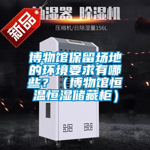 博物館保留場地的環境要求有哪些？（博物館恒溫恒濕儲藏柜）