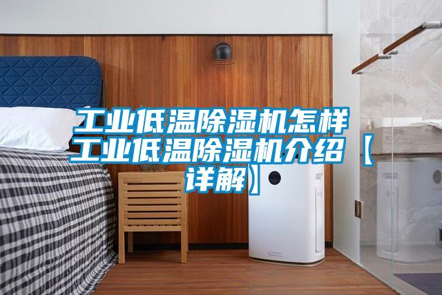 工業(yè)低溫除濕機怎樣 工業(yè)低溫除濕機介紹【詳解】