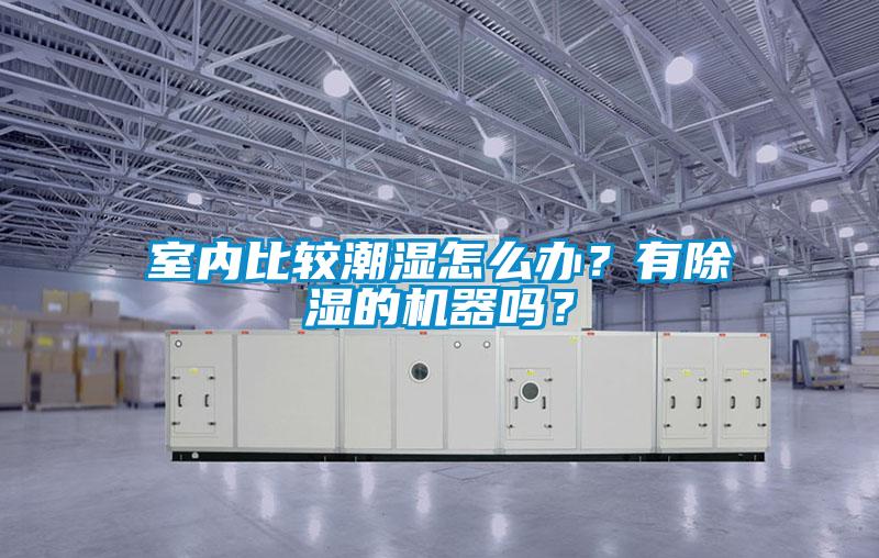 室內比較潮濕怎么辦？有除濕的機器嗎？