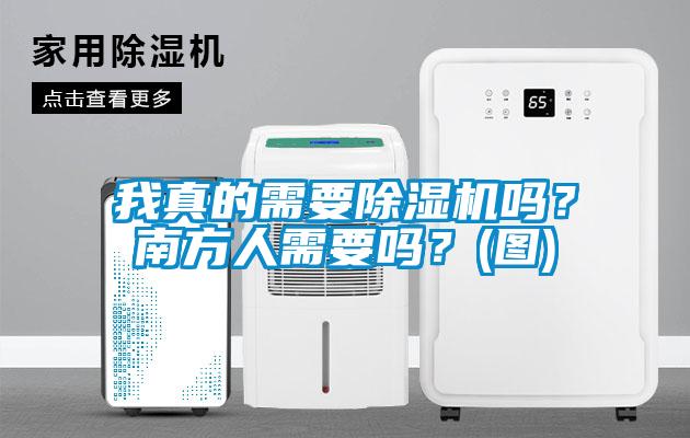 我真的需要除濕機嗎？南方人需要嗎？(圖)