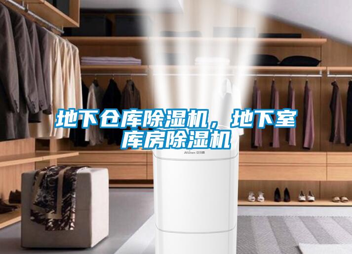 地下倉庫除濕機，地下室?guī)旆砍凉駲C