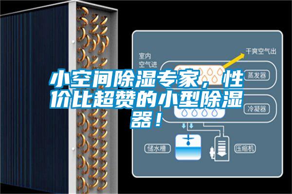 小空間除濕專家，性價比超贊的小型除濕器！
