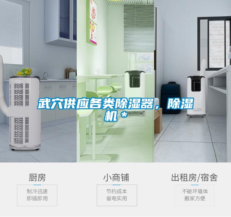 武穴供應各類除濕器，除濕機＊