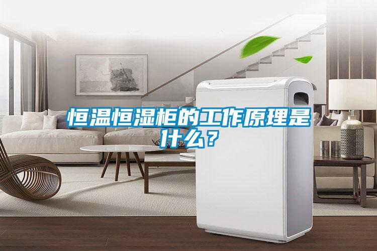 恒溫恒濕柜的工作原理是什么?