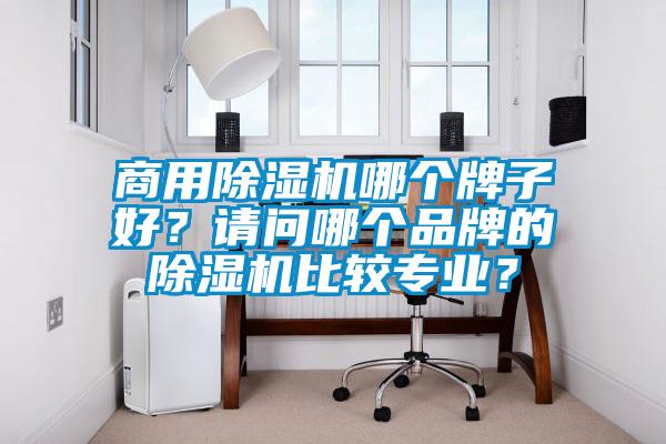 商用除濕機哪個牌子好?請問哪個品牌的除濕機比較專業?