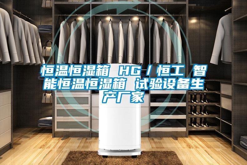 恒溫恒濕箱 HG/恒工 智能恒溫恒濕箱 試驗設備生產廠家