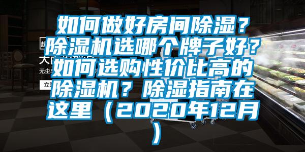 如何做好房間除濕？除濕機選哪個牌子好？如何選購性價比高的除濕機？除濕指南在這里（2020年12月）