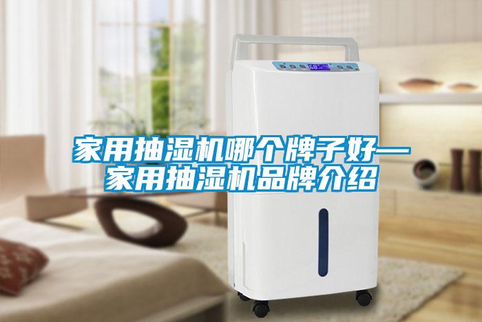 家用抽濕機(jī)哪個牌子好—家用抽濕機(jī)品牌介紹