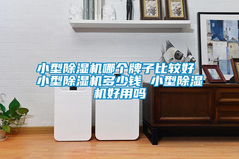 小型除濕機(jī)哪個(gè)牌子比較好 小型除濕機(jī)多少錢(qián) 小型除濕機(jī)好用嗎