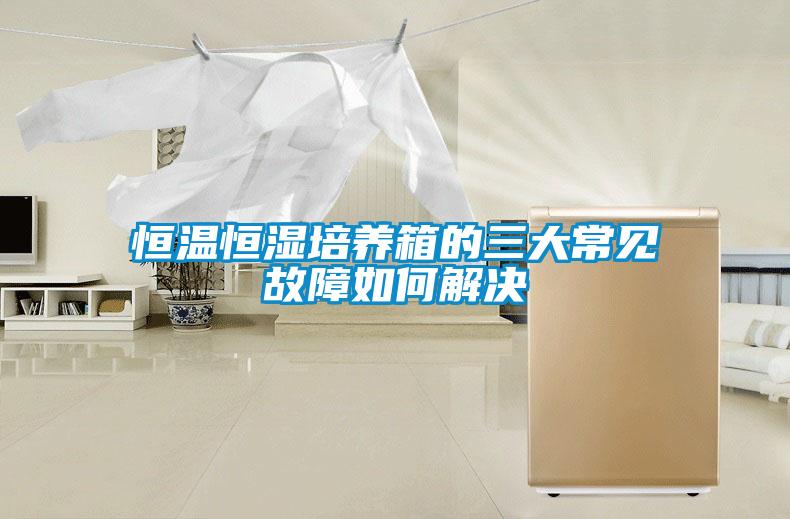 恒溫恒濕培養箱的三大常見故障如何解決